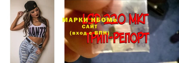 амф Бронницы