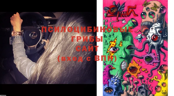 амф Бронницы