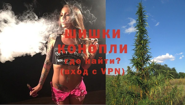 Альфа ПВП Сосновый Бор