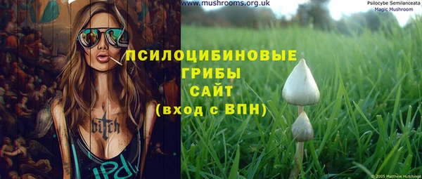 амф Бронницы