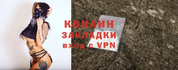 МДПВ Бородино