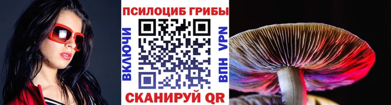 Галлюциногенные грибы Psilocybe  купить наркотики цена  Можайск 